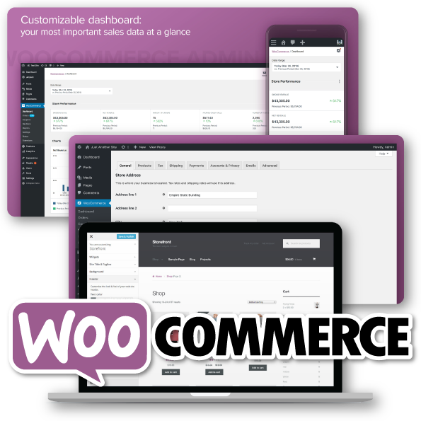 Ecommerce Solutions
